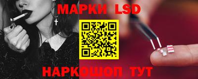 стаф Будённовск
