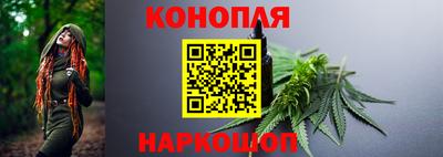 стаф Будённовск