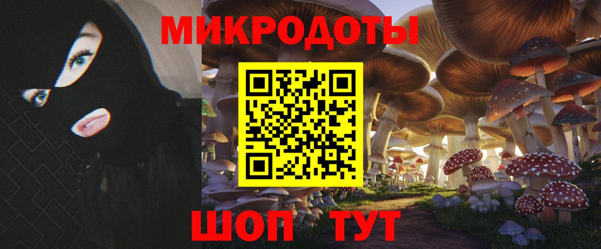 Галлюциногенные грибы MAGIC MUSHROOMS Тула