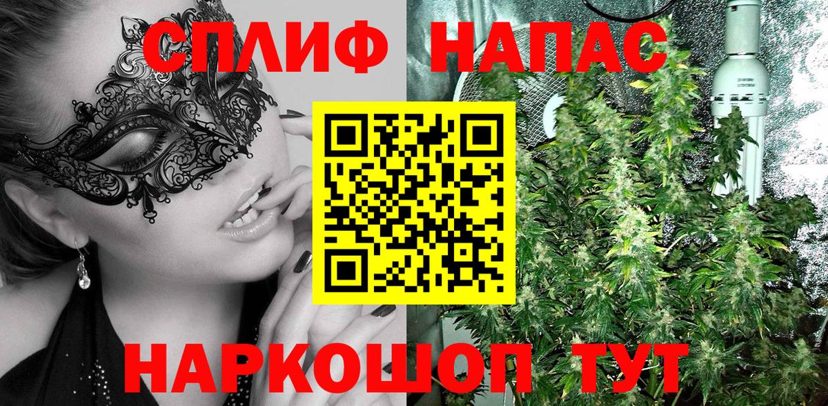 Канабис конопля Тула